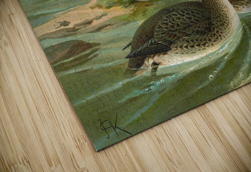 Gavia arctica [L.]. Polar–Seetaucher. By Johann Friedrich Naumann [1780–1857] MyCozyFineArt puzzle