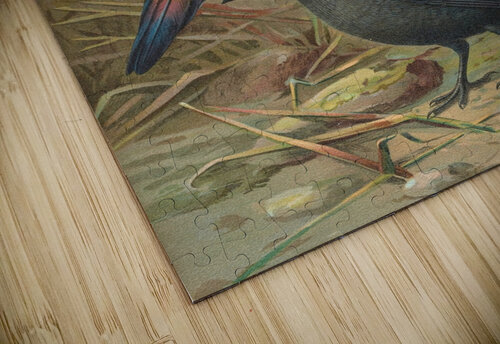 Pica pica. Lycus monedula by Johann Friedrich Naumann [1780–1857] MyCozyFineArt puzzle