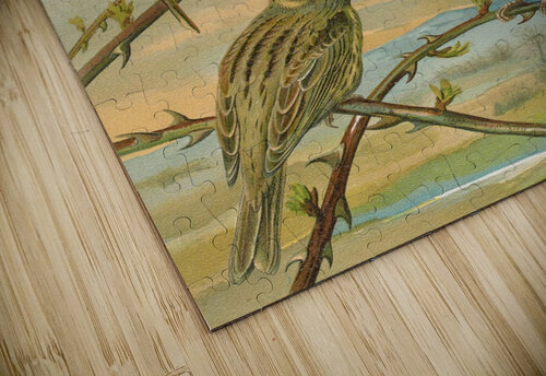 Emberiza citrinella. Emberiza cirlus by Johann Friedrich Naumann [1780–1857] MyCozyFineArt puzzle