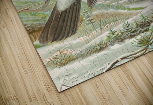 Garrulus glandarius by Johann Friedrich Naumann [1780–1857] MyCozyFineArt puzzle