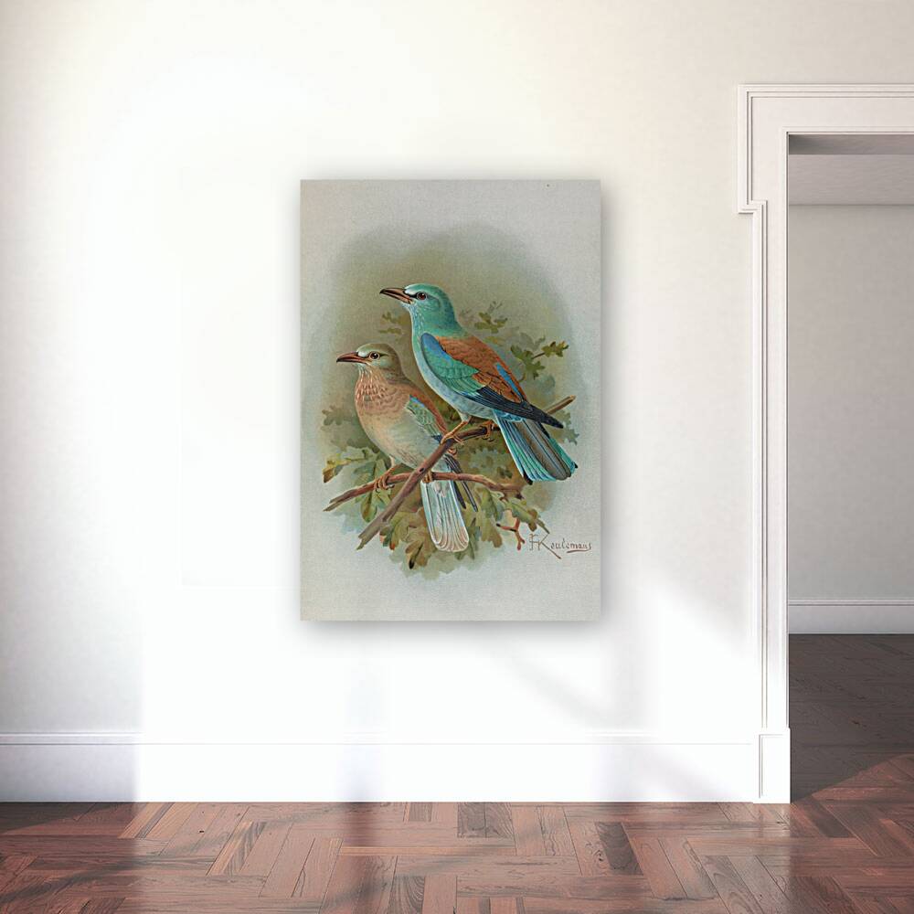 Coracias garrula by Johann Friedrich Naumann [1780–1857] Reproduction