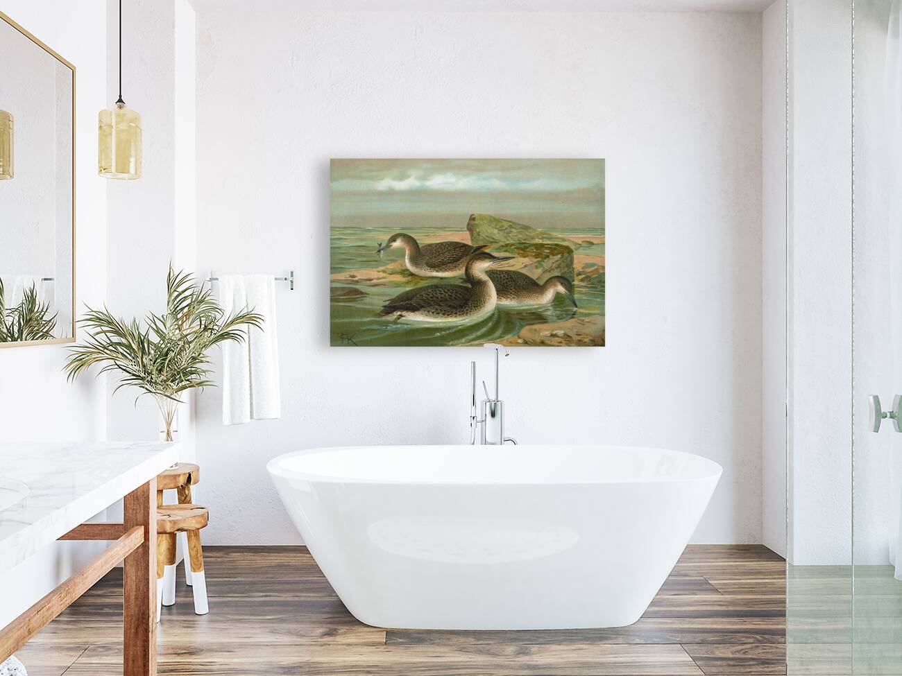 Gavia arctica [L.]. Polar–Seetaucher. By Johann Friedrich Naumann [1780–1857] Reproduction