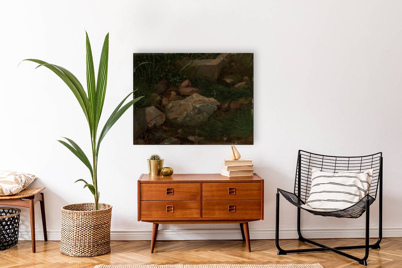 Steine im Gras [1860] by Hans Thoma [1839–1924] Reproduction