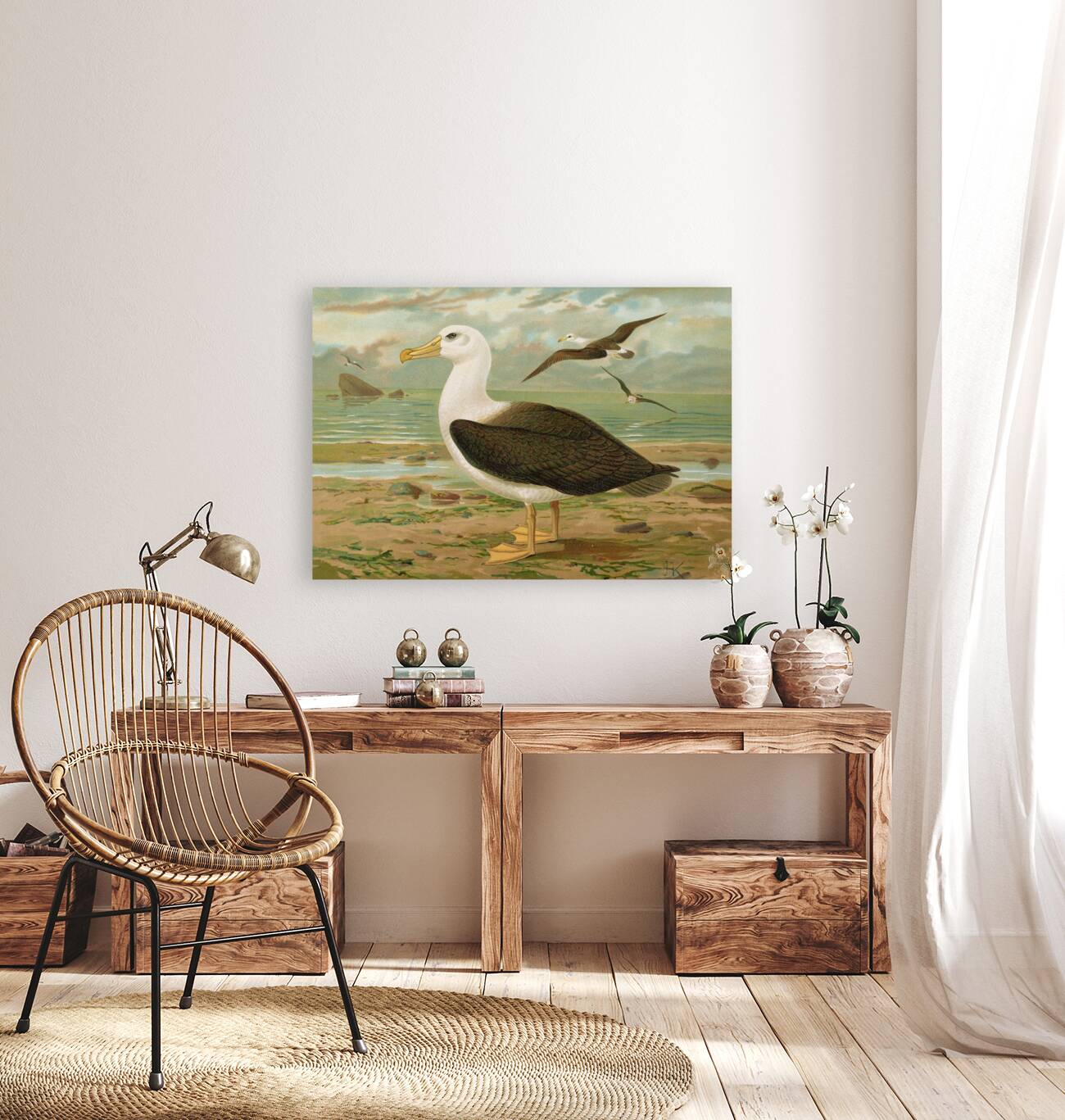 Diomedea melanophrys Boie. Schwarzzugeliger Albatros by Johann Friedrich Naumann [1780–1857] Reproduction