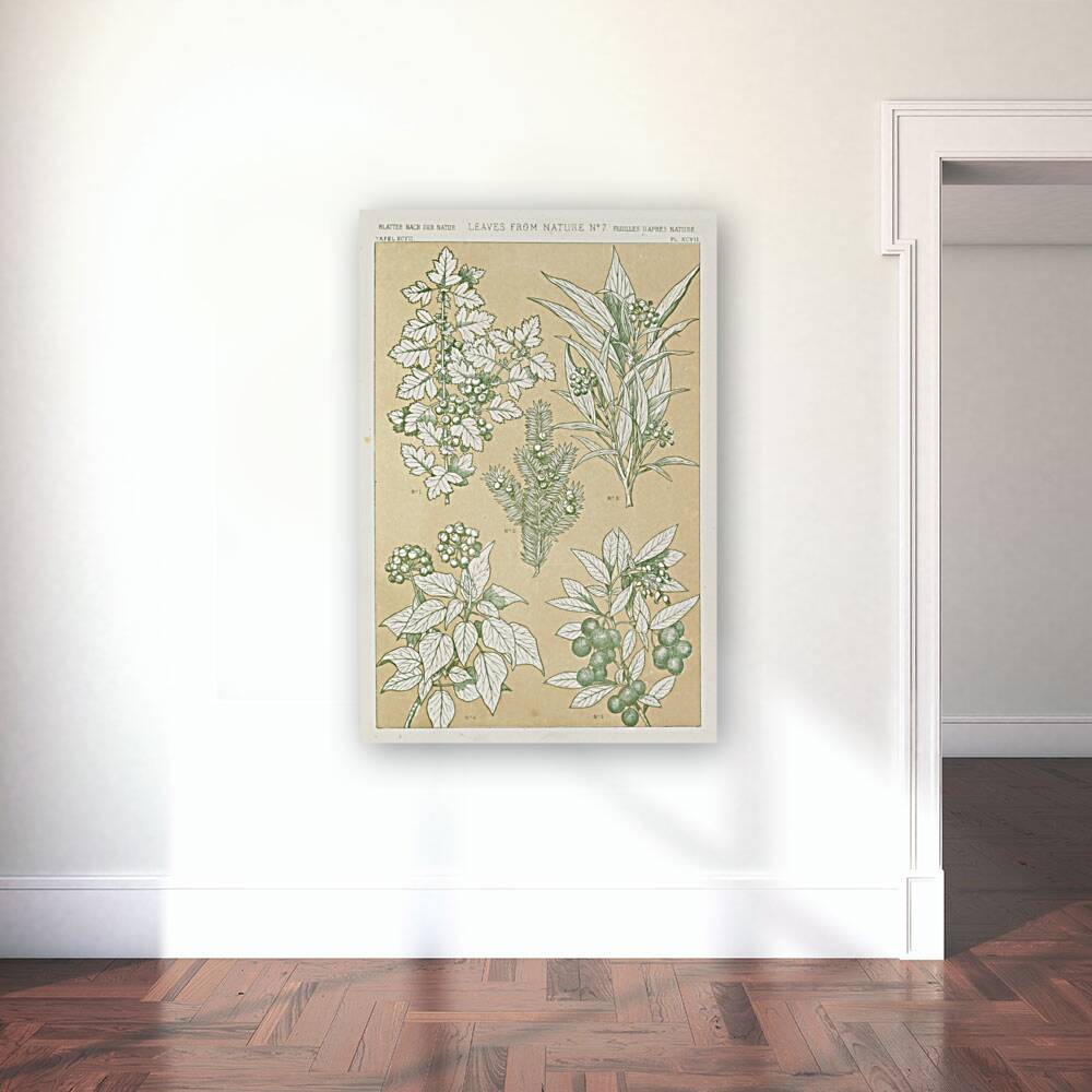 Leaves from Nature No.7 [1856] by Owen Jones [1809–1874] Reproduction