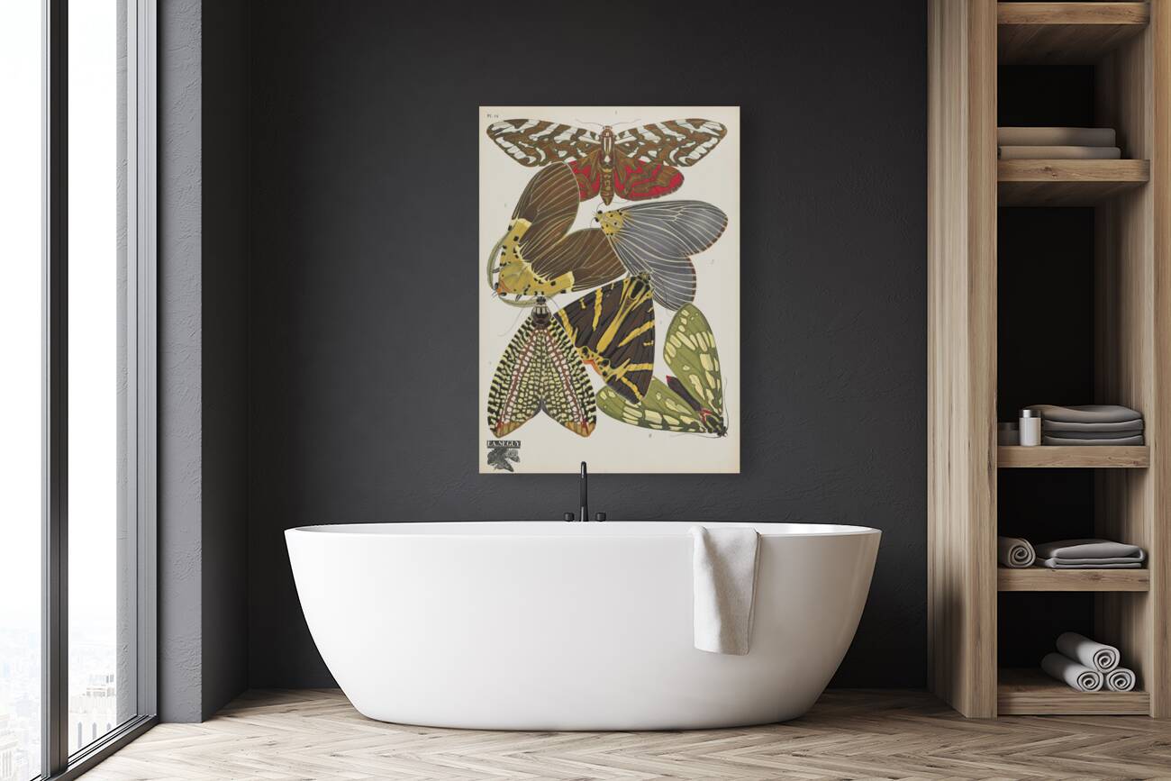 Papillons Pl.14 [1920] by Emile–Allain Séguy [1877–1951] Reproduction