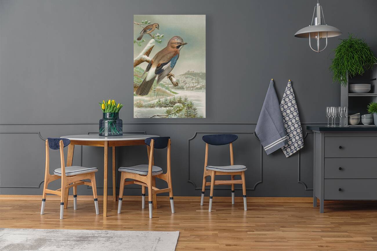 Garrulus glandarius by Johann Friedrich Naumann [1780–1857] Reproduction