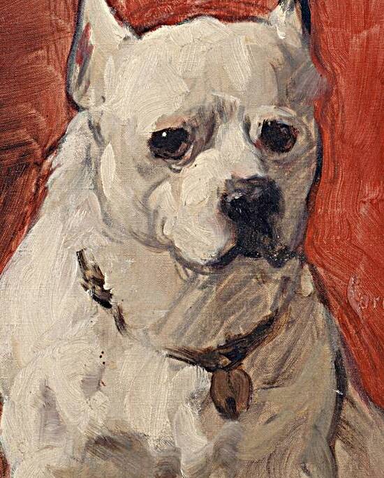 Le chien ‘chinois’ [1884] by Carolus–Duran [1837–1917] by MyCozyFineArt