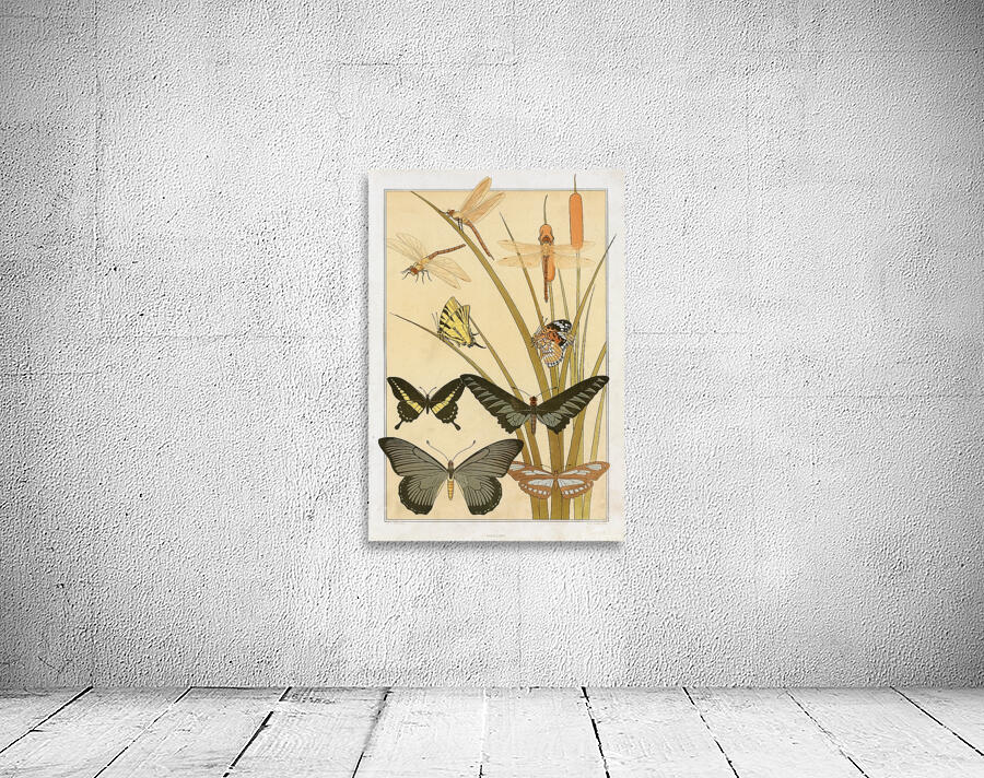 Papillons [1897] by Maurice Pillard Verneuil [1869–1942] Wall Preview