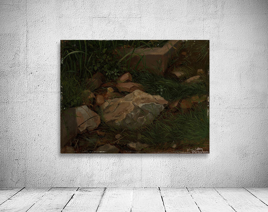 Steine im Gras [1860] by Hans Thoma [1839–1924] Wall Preview