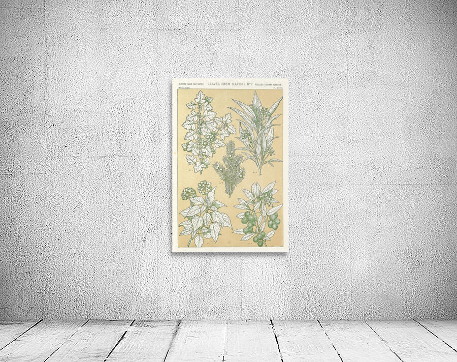 Leaves from Nature No.7 [1856] by Owen Jones [1809–1874] Wall Preview