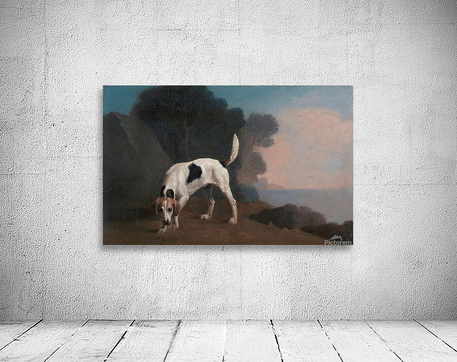 Foxhound on the Scent [ca. 1760] by George Stubbs [1724–1806] Wall Preview