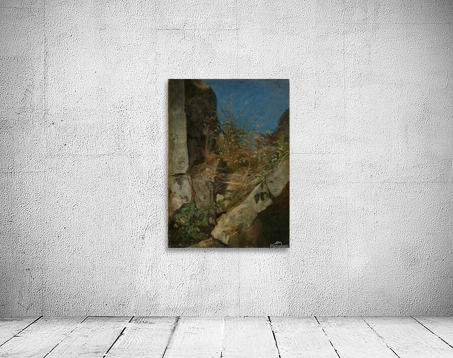 Gräser zwischen Felsen [1863] by Hans Thoma [1839–1924] Wall Preview