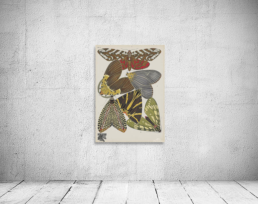 Papillons Pl.14 [1920] by Emile–Allain Séguy [1877–1951] Wall Preview