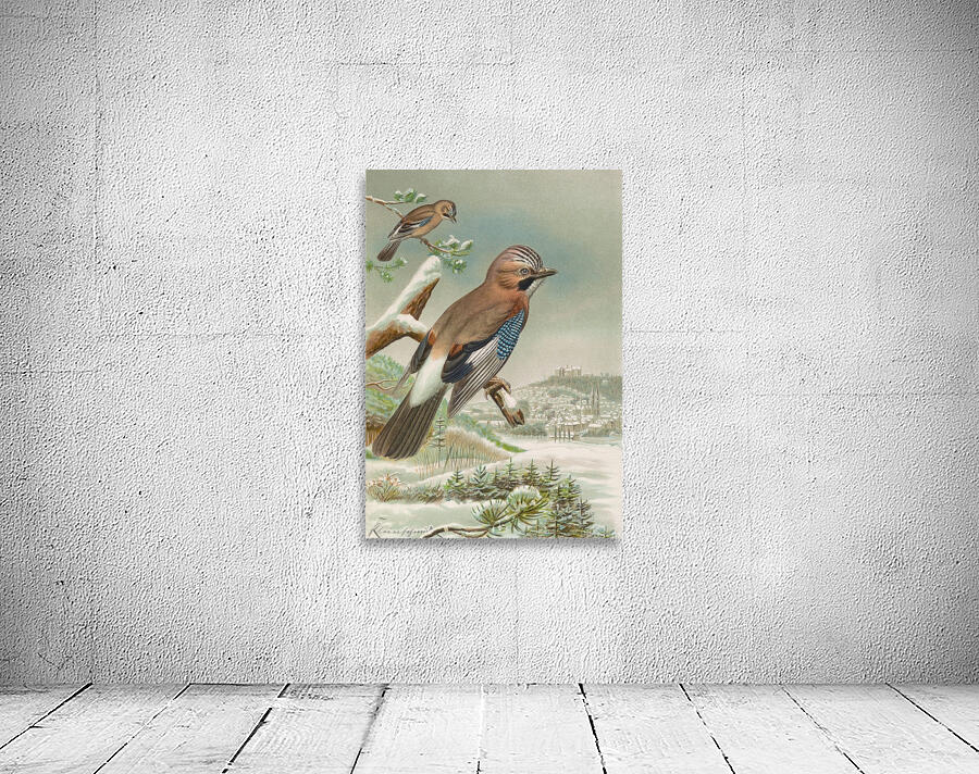 Garrulus glandarius by Johann Friedrich Naumann [1780–1857] Wall Preview
