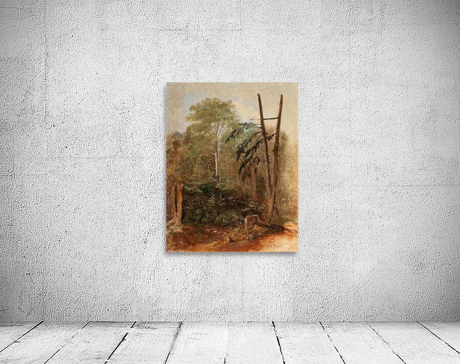 Study of a Woodland Landscape by Carl Spitzweg [1808–1880] Wall Preview