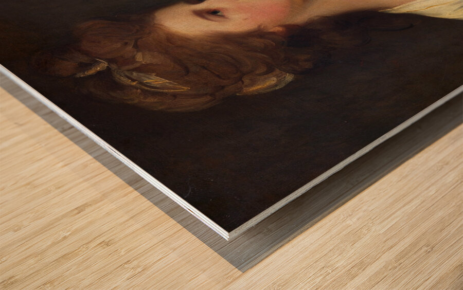 Portrait of a Woman. Said to Be Emily Bertie Pott [1781] by George Romney [1734–1802] Wood print