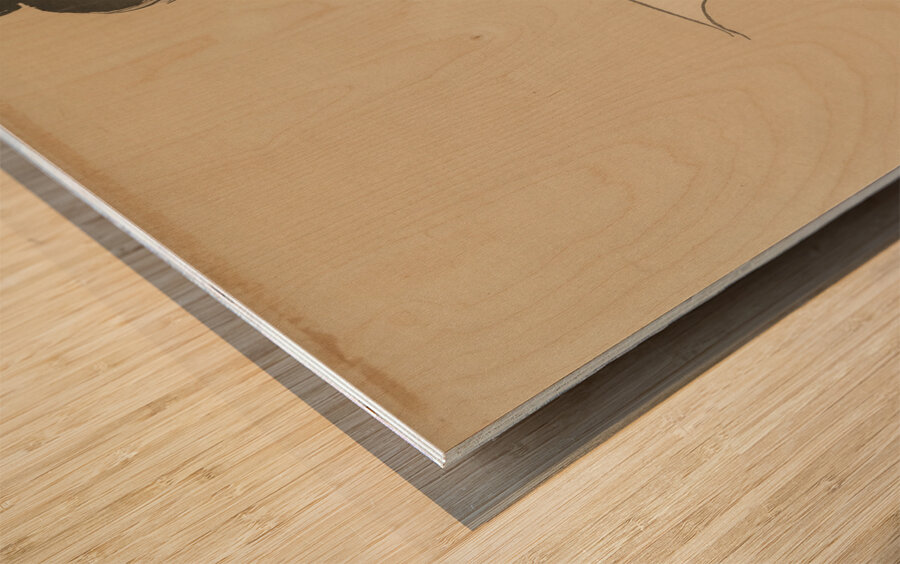 Idleness [Tsurezure] [1909–1910] by Kamisaka Sekka [1866–1942] Wood print