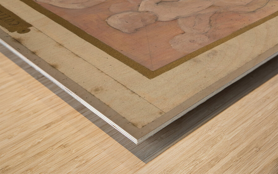 Cotillons [1889–1895] by Albert Aublet [1851–1938] Wood print