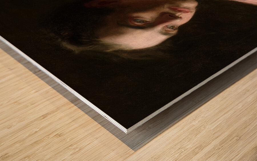 Maud Cook Reid [Mrs. Robert C. Reid] [1895] by Thomas Eakins [1844–1916] Wood print