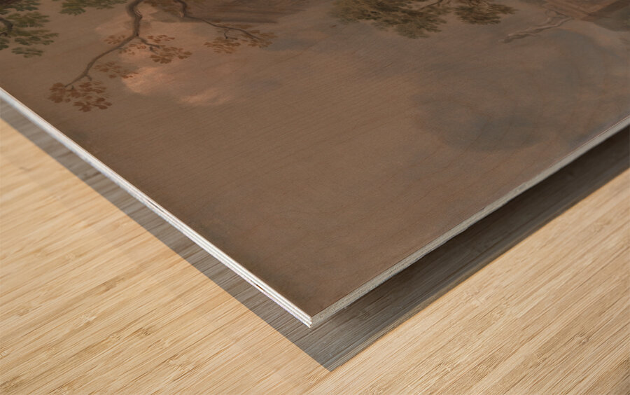 Portrait of a Woman [ca. 1750] by Thomas Gainsborough [1727–1788] Wood print