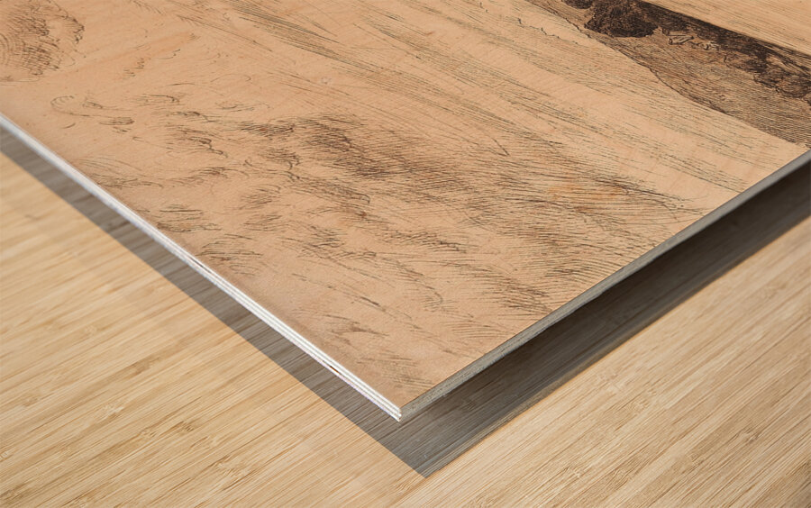 Am Wehr [Ca. 1870–1890] by Hans Thoma [1839–1924] Wood print