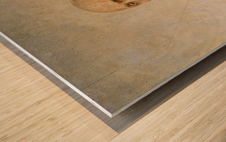 Der Hoffotograf Josef Löwy [1902] by Julius Victor Berger [1850–1902] Wood print