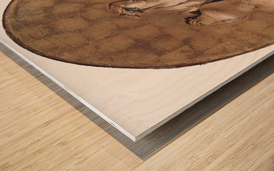 A Female Allegorical Figure [ca. 1740–50] by Giovanni Battista Tiepolo [1696–1770] Wood print