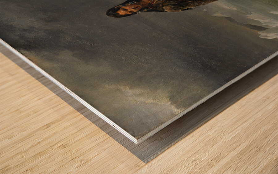 A Woman from the Land of Eskimos [1826] by Léon Cogniet [1794–1880] Wood print