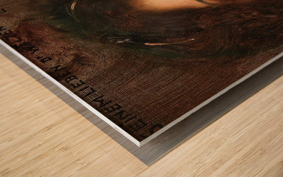 Portrait of a Young Woman in a Red Dress by Eduard Veith [1856–1925] Wood print