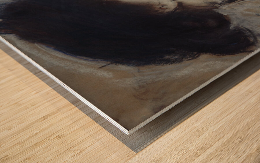 Portrait de femme de profil by Paul César Helleu [1859–1927] Wood print