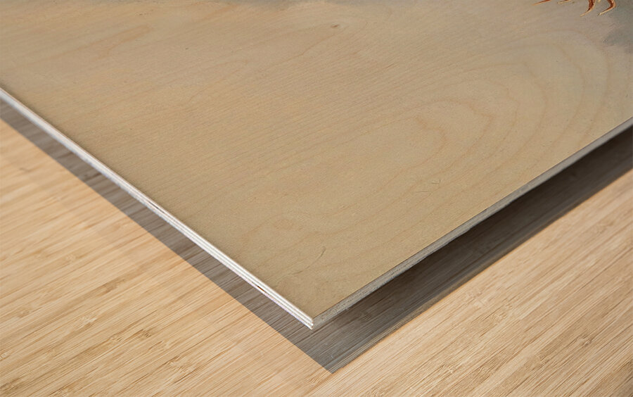 A Bellowing Stag by Moritz Müller [1841–1899] Wood print