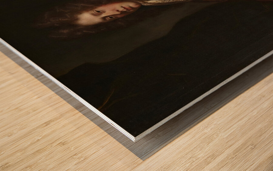 Sir Charles Barrington. Bart. By Sir Godfrey Kneller [1646–1723] Wood print