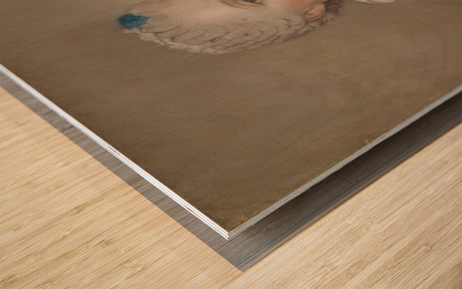 Maria Josepha of Saxony. Dauphine of France [1749] by Jean–Etienne Liotard [1702–1789] Wood print