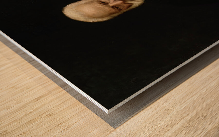 Portrait de Victor Hugo by Aimé Morot [1850–1913] Wood print