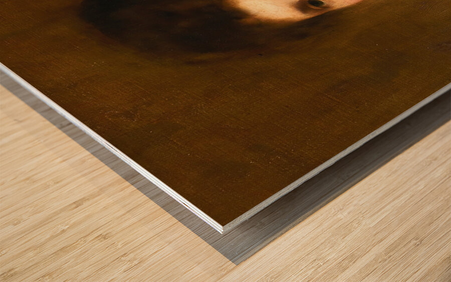 Portrait of Henrietta Lowy Solomon. The Artist’s Sister by Solomon Joseph Solomon [1860–1927] Wood print