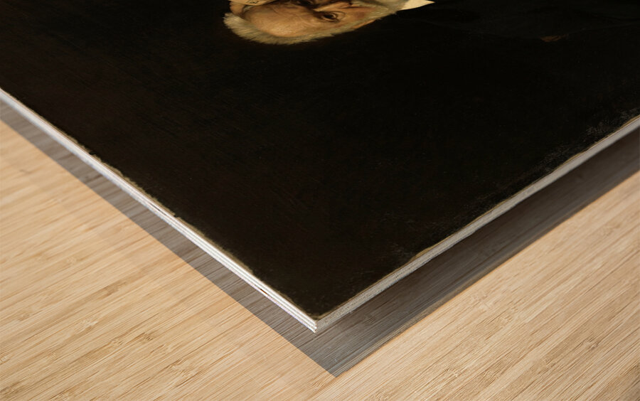 Portrait de M. Victor Hugo [1879] by Léon Bonnat [1833–1922] Wood print