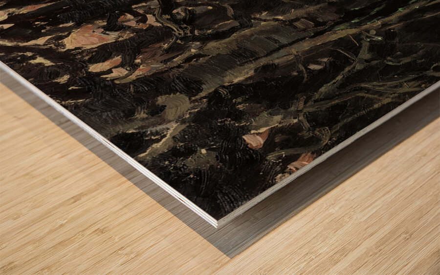 Ivan Zarevitsh [1880] by Victor Mikhailovich Vasnetsov [1848–1926] Wood print