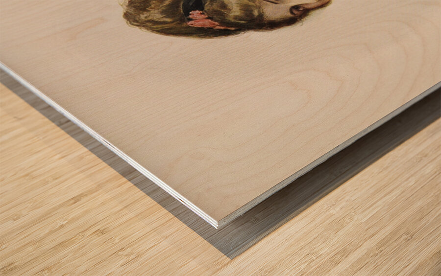 Harrison Fisher girls Pl.8 [1914] by Harrison Fisher [1877–1934] Wood print