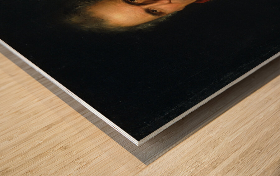 Portrait of José María Díez de Aznar [1832] by Bernat López Piquer [1801–1874] Wood print