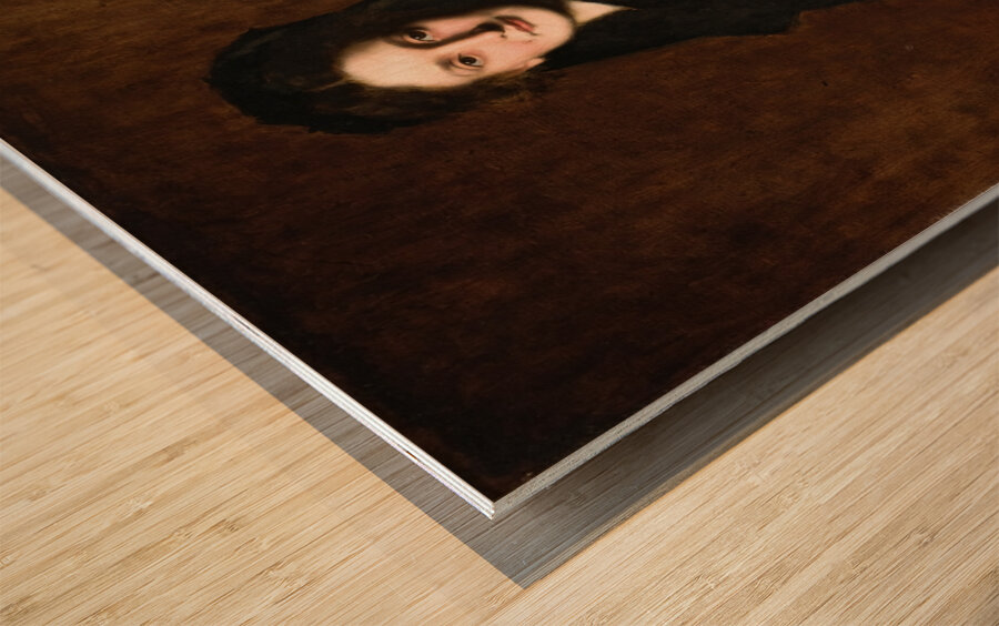 Portrait of Madame Paul Duchesne–Fournet [1879] by Jean–Jacques Henner [1829–1905] Wood print