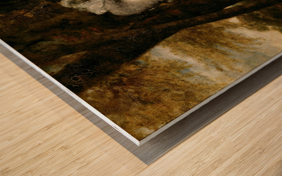 Lady Frances Finch by Sir Joshua Reynolds [1723–1792] Wood print