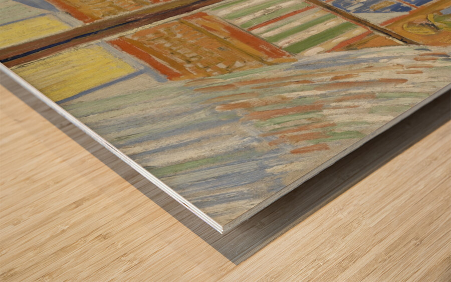 View of a butcher’s shop by Vincent van Gogh [1853–1890] Wood print