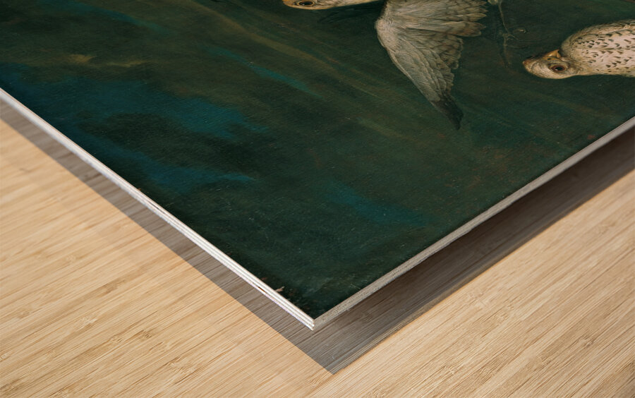 Weiße Jagdfalken Mit Einem Fischreiher [1748] by Philipp Ferdinand de Hamilton [ca. 1664–1750] Wood print