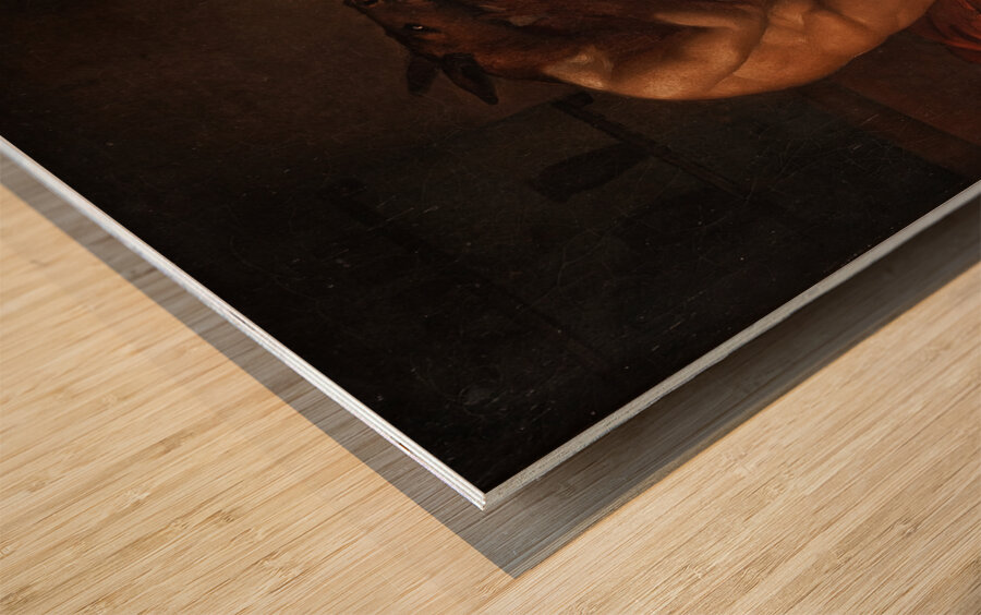 The Metomorphosis Of Lucius by C.F. Høyer [1775–1855] Wood print