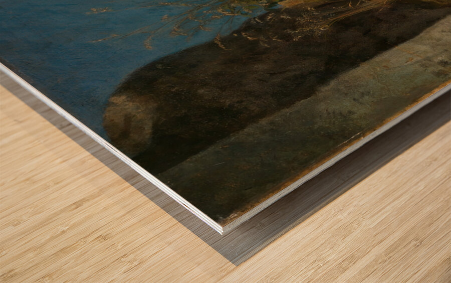 Gräser zwischen Felsen [1863] by Hans Thoma [1839–1924] Wood print