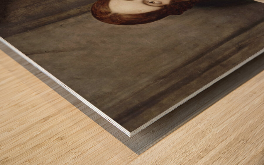 Portrait of Sophie Marin. Widow of Lieutenant General Baudrand by Ary Scheffer [1795–1858] Wood print