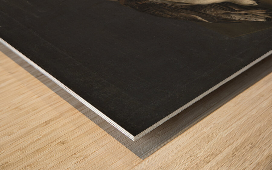 Wildfowl On A Wooden Table [1648–1681] by Jacob Biltius [1633–1681] Wood print