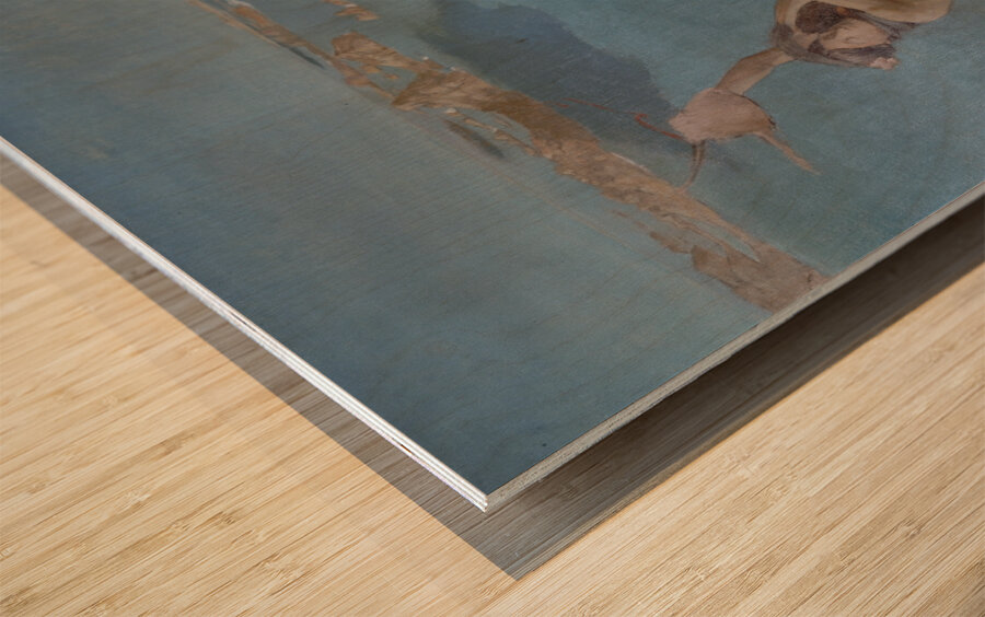 Sapho [1894] by Ary Cornelis Renan [1857–1900] Wood print