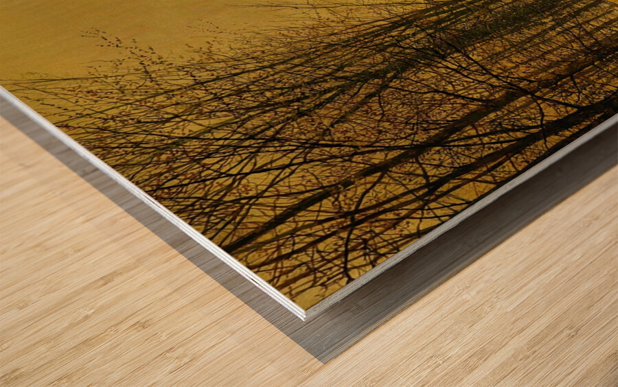 The Queen’s Highway by John Atkinson Grimshaw [1836–1893] Wood print